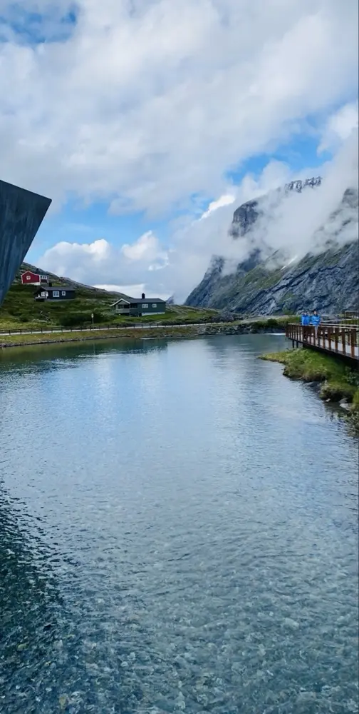 Aisha Chaudhry profile pic