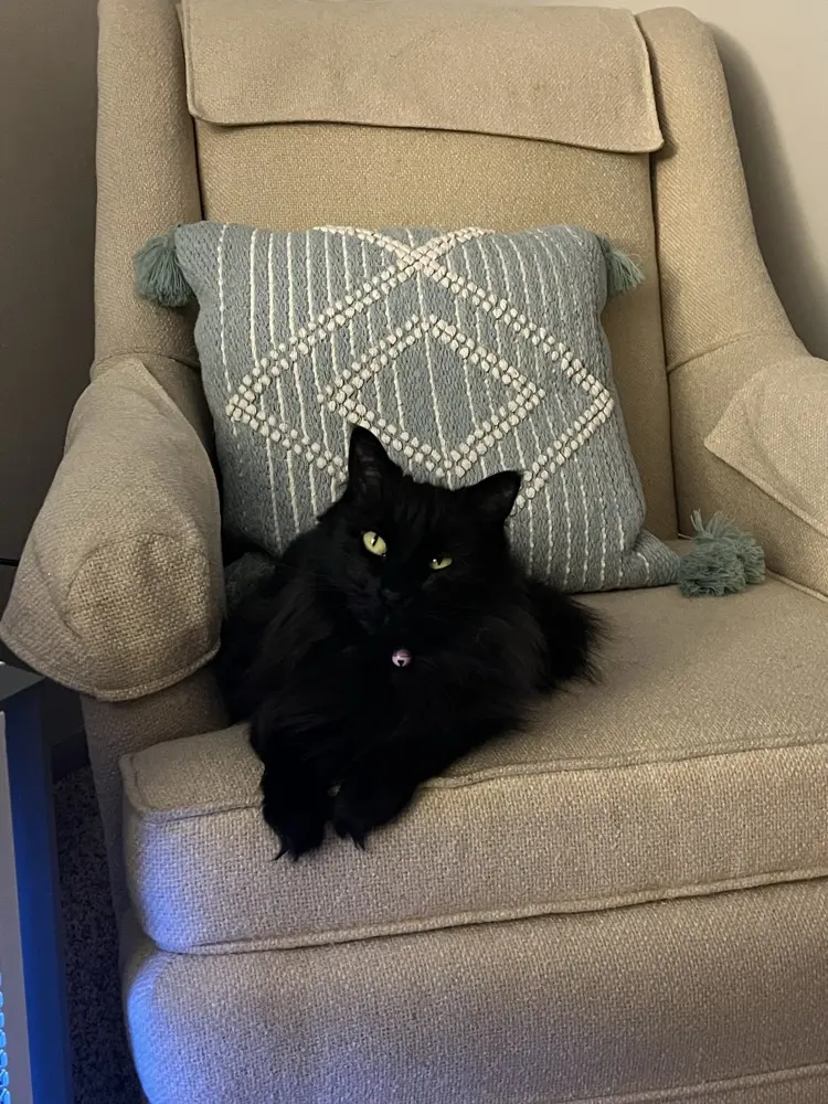 ecoffey7 profile pic