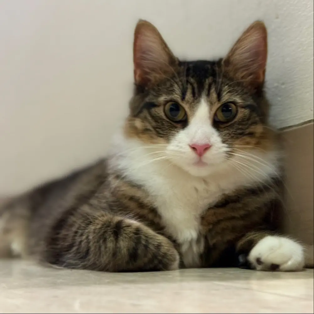 Maryan34 profile pic