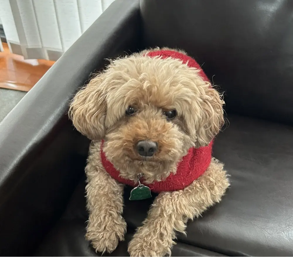 Alyssa R profile pic