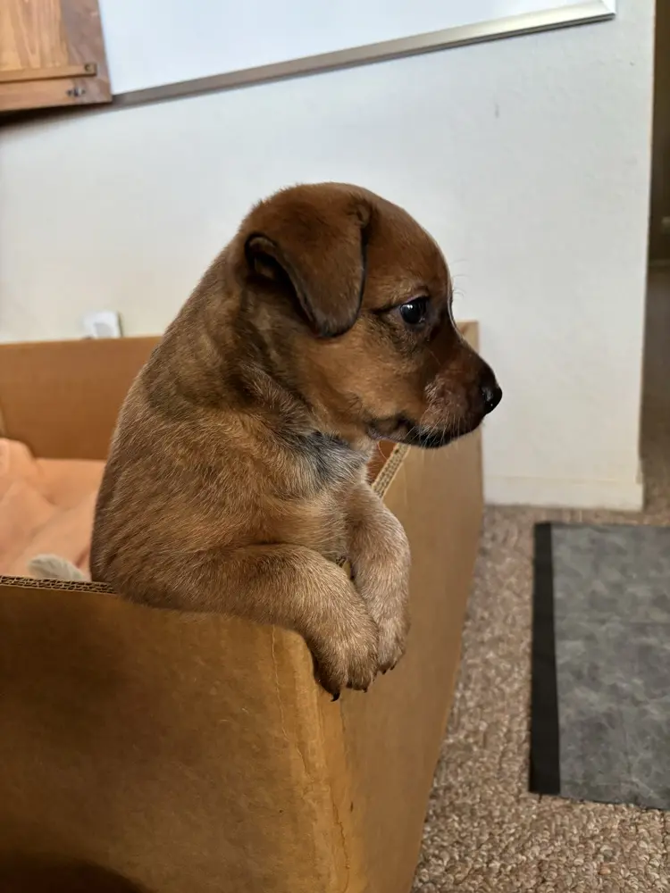 MamaTried profile pic