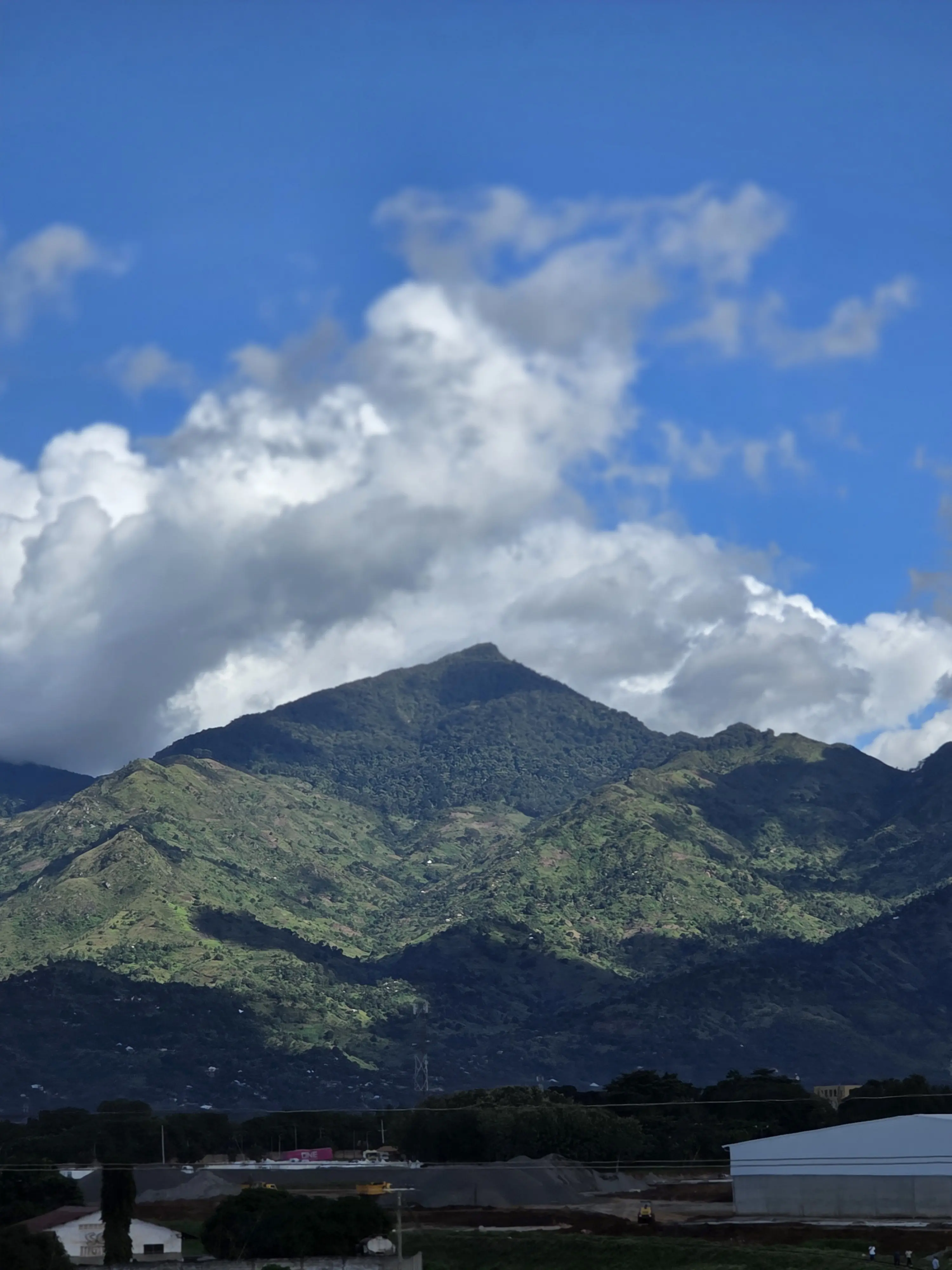 AMINA216 profile pic