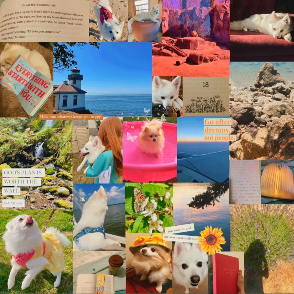 angelpompom, moderator