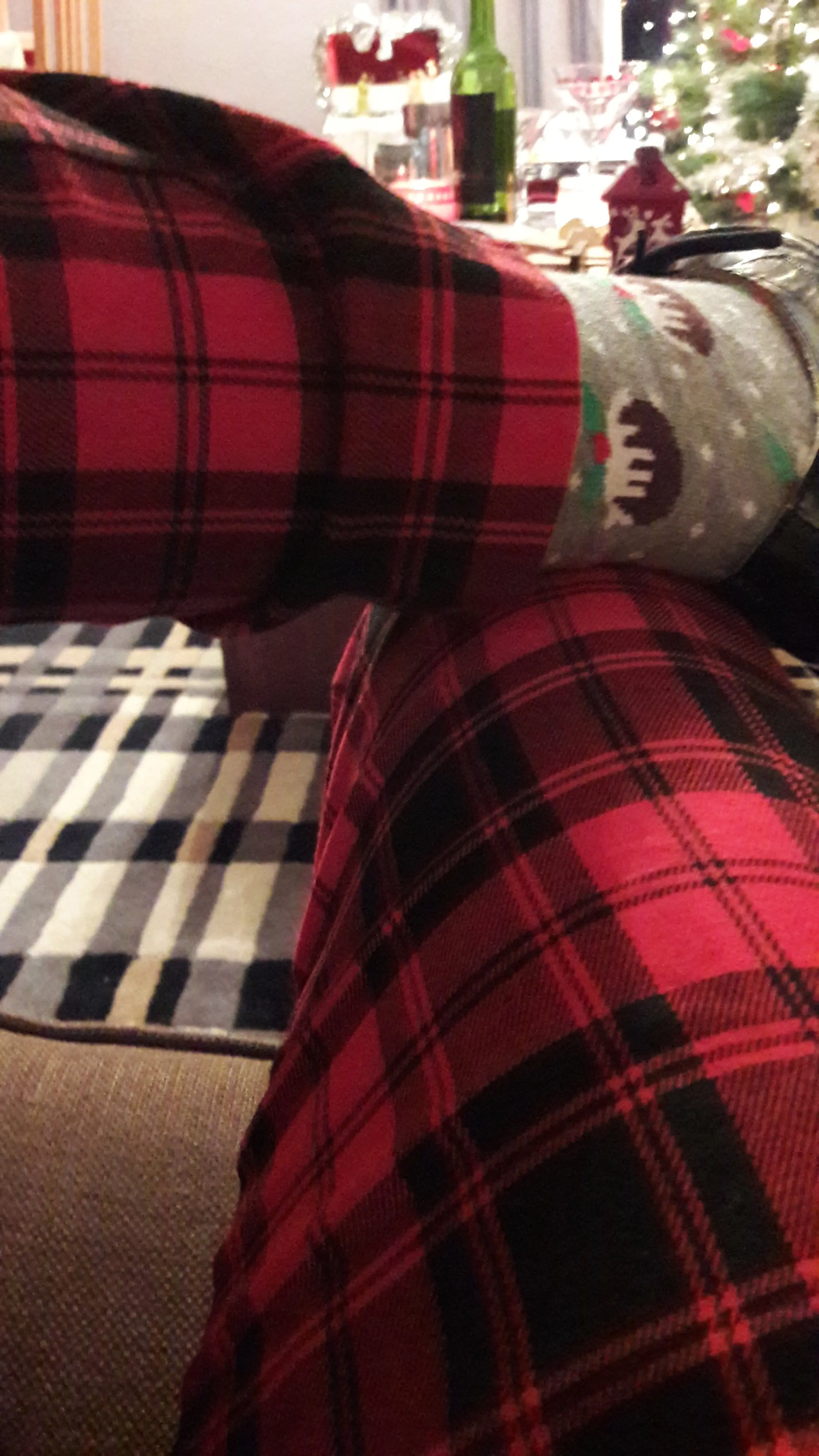 BellaBundy profile pic