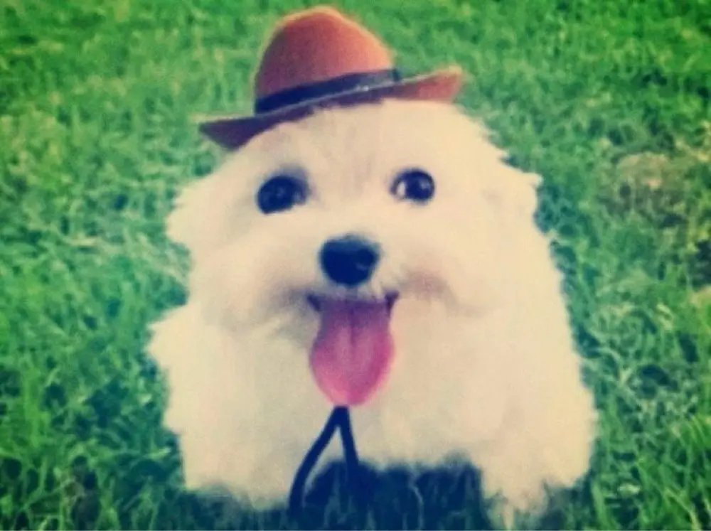 jake Lorenzo profile pic