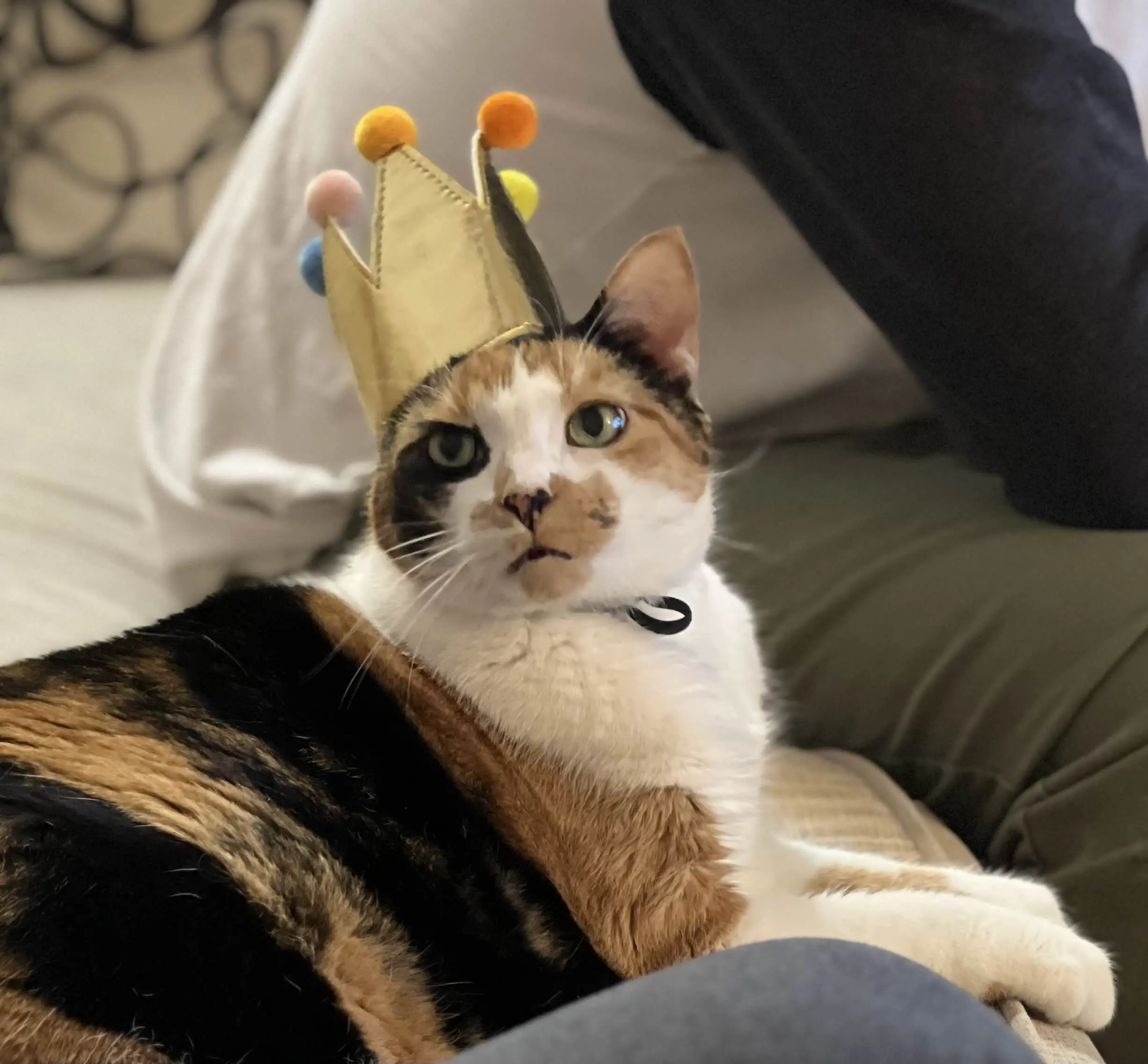 Mikaylaaaaaa profile pic