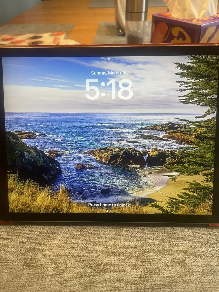 Shirley Gross profile pic