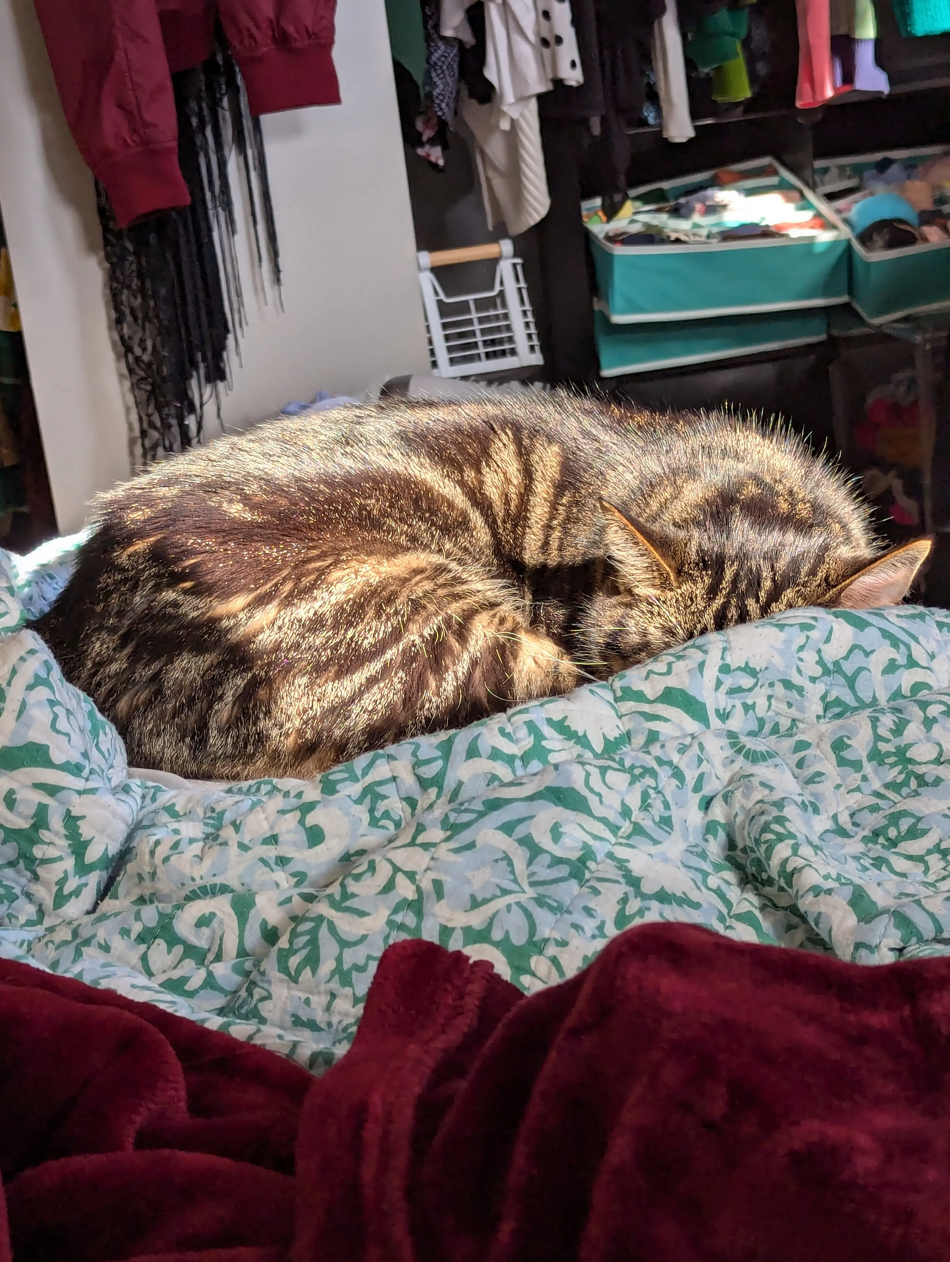 Jennifer profile pic