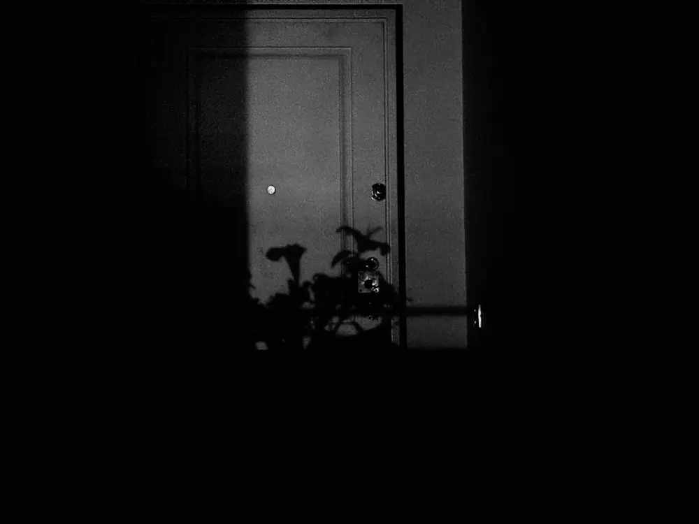 anthologyofangels profile pic