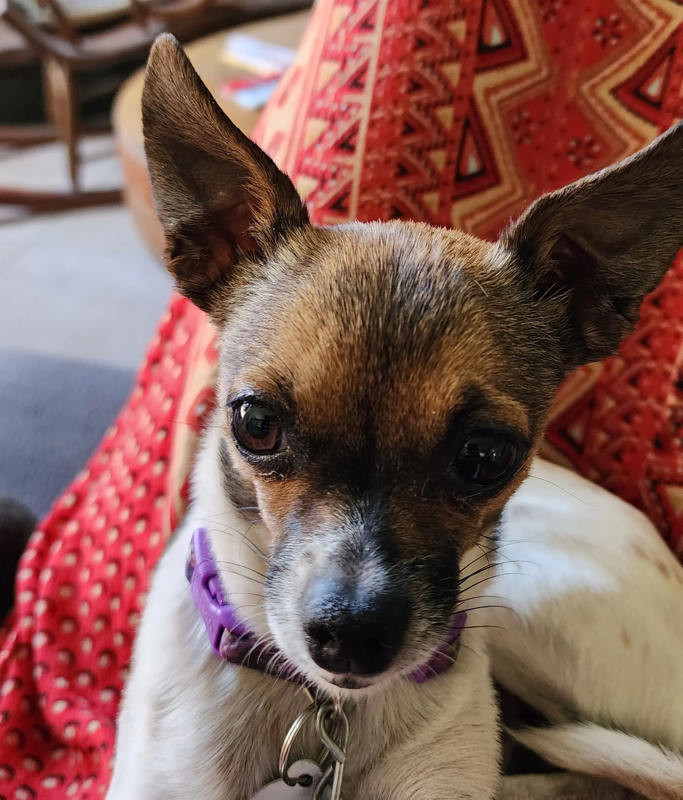 demetria davis boyd (DEE) profile pic