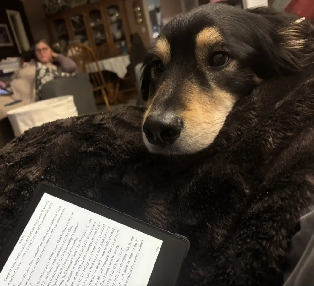 Em ♥️ Reading profile pic