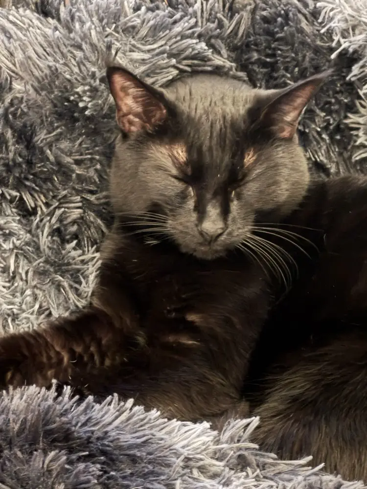 Caroline profile pic