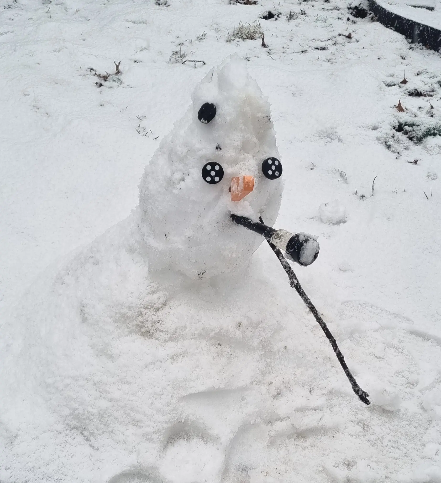 Nicolas O profile pic