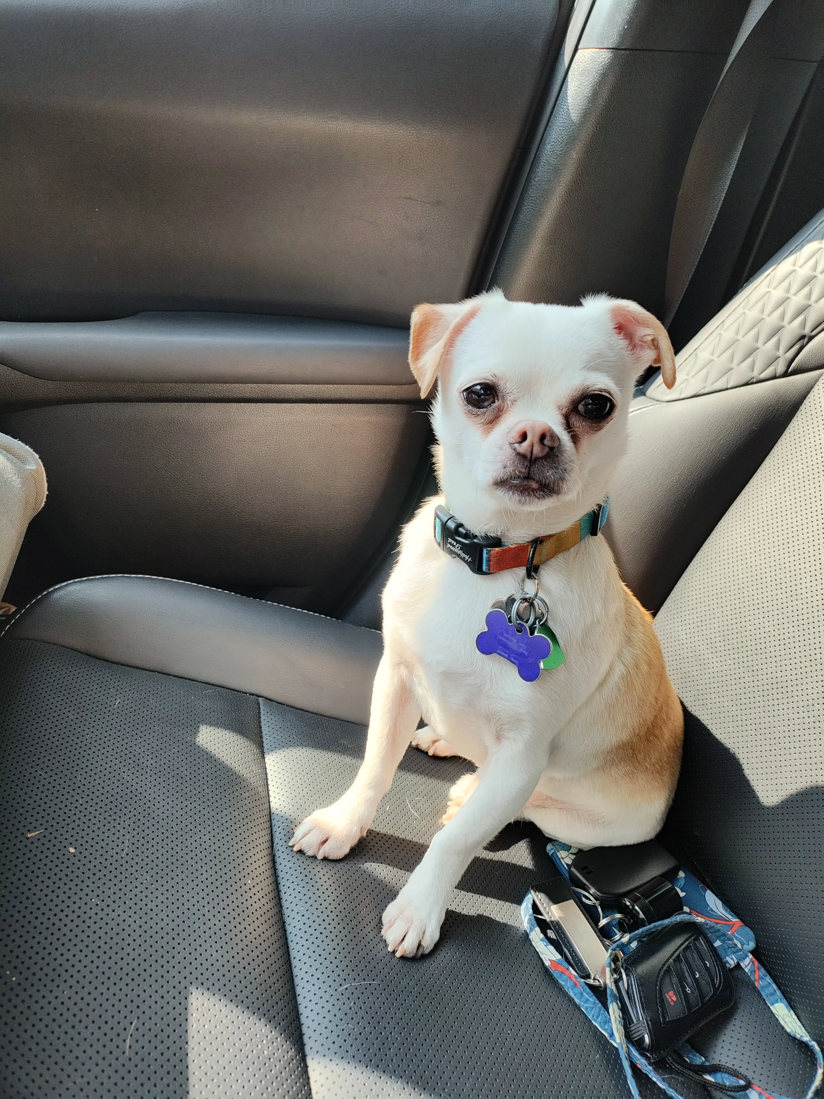 Amanda Francis, moderator