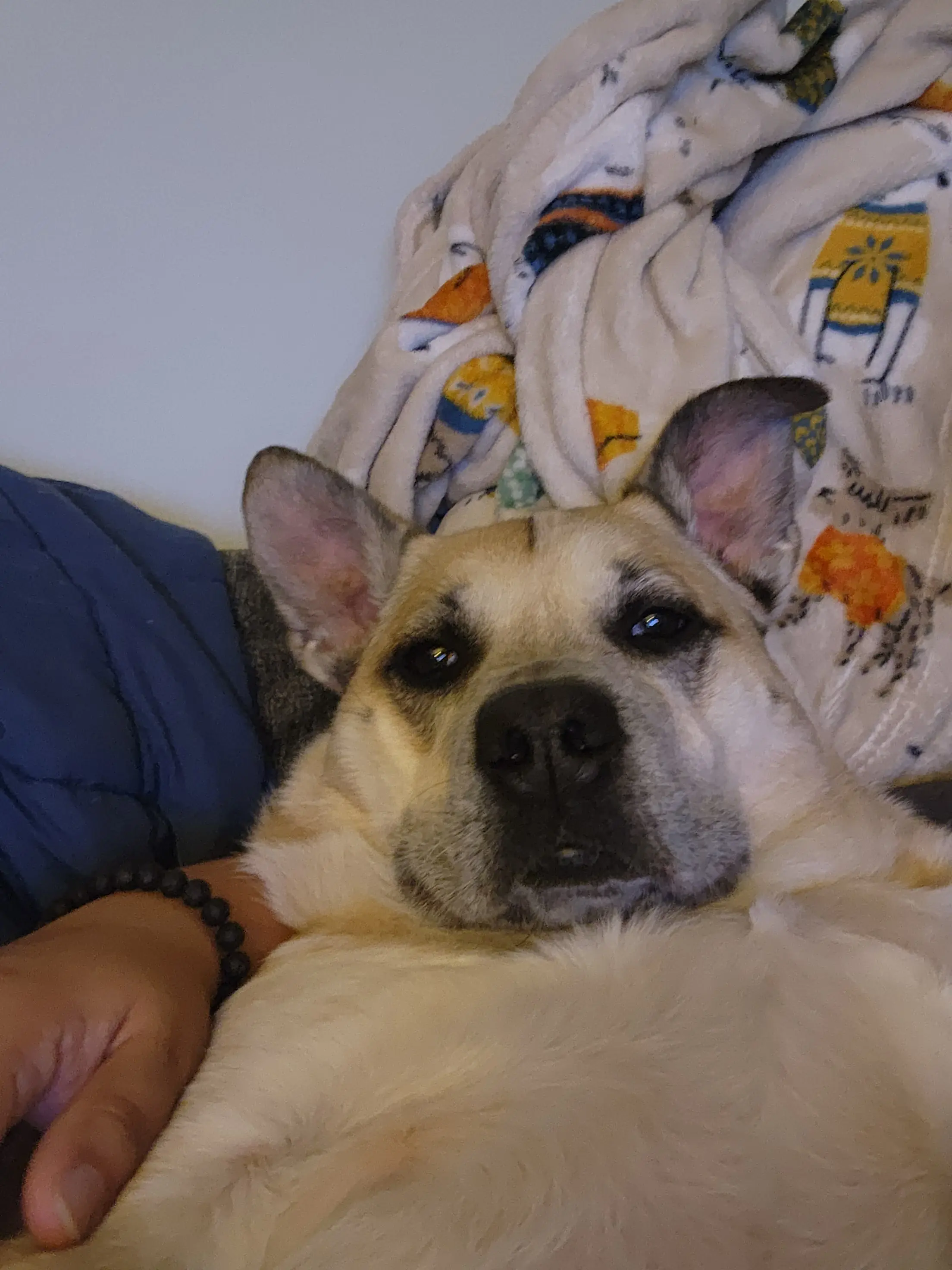 Rosalyn Jaramillo profile pic