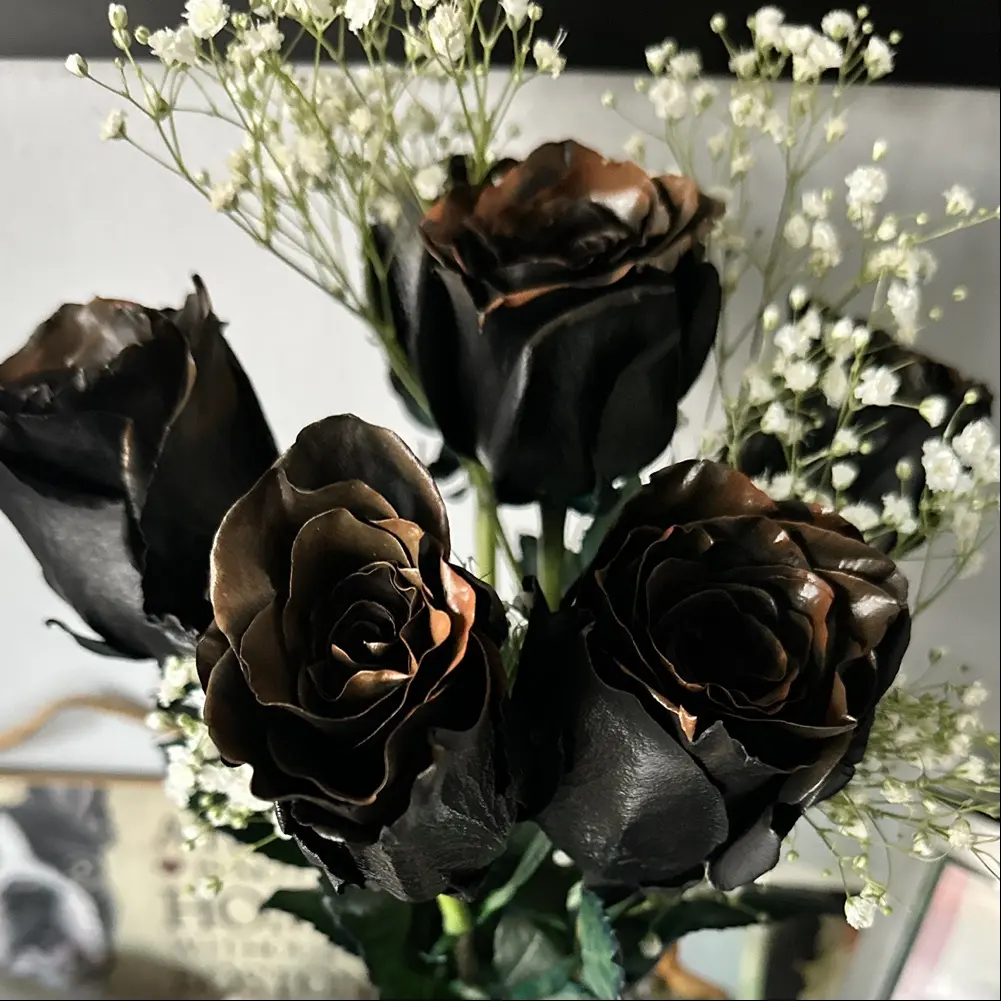 Nicole Thompson profile pic