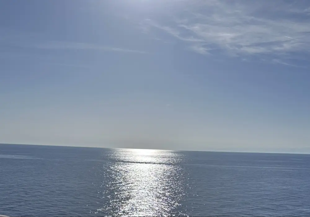 Ana Verez profile pic