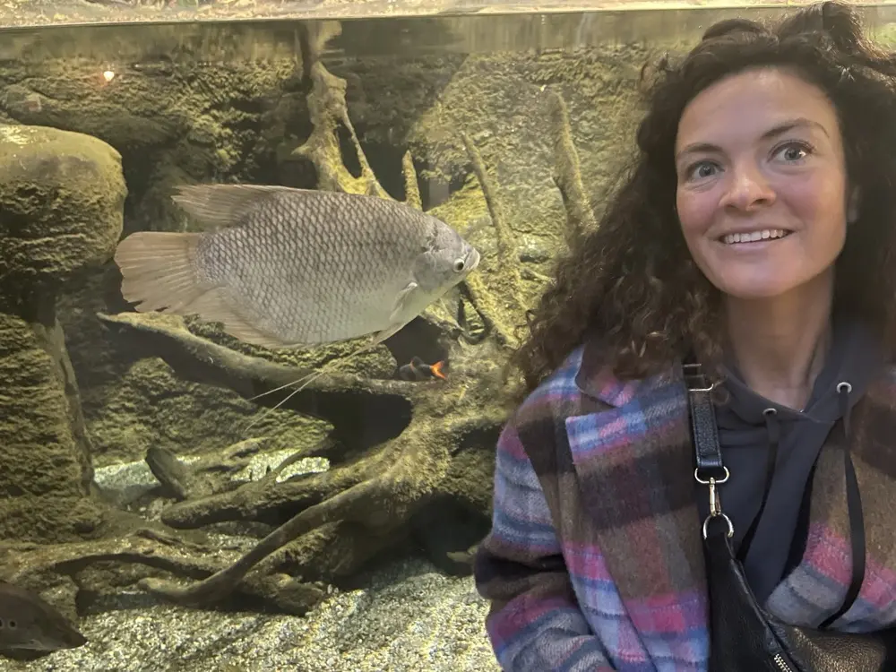 Rebekka Sa profile pic