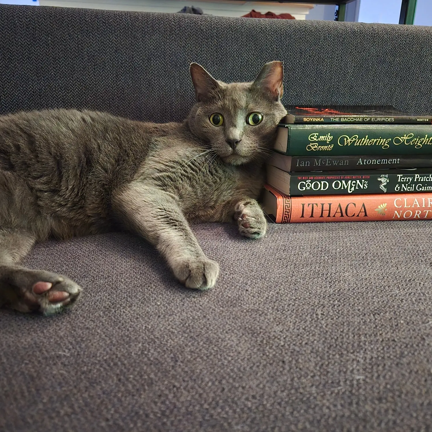 Sarah Jobbins profile pic