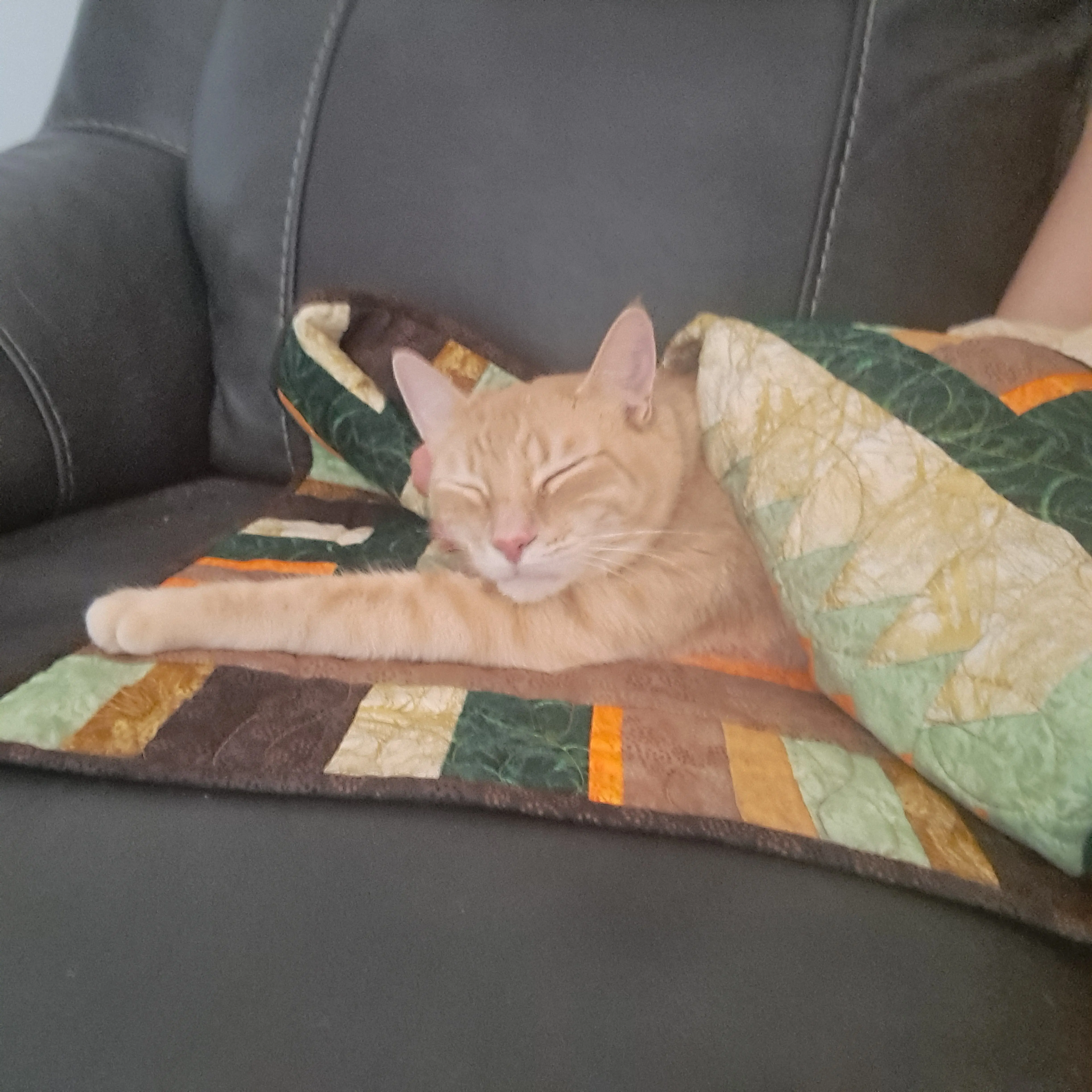 LuvBug reader profile pic