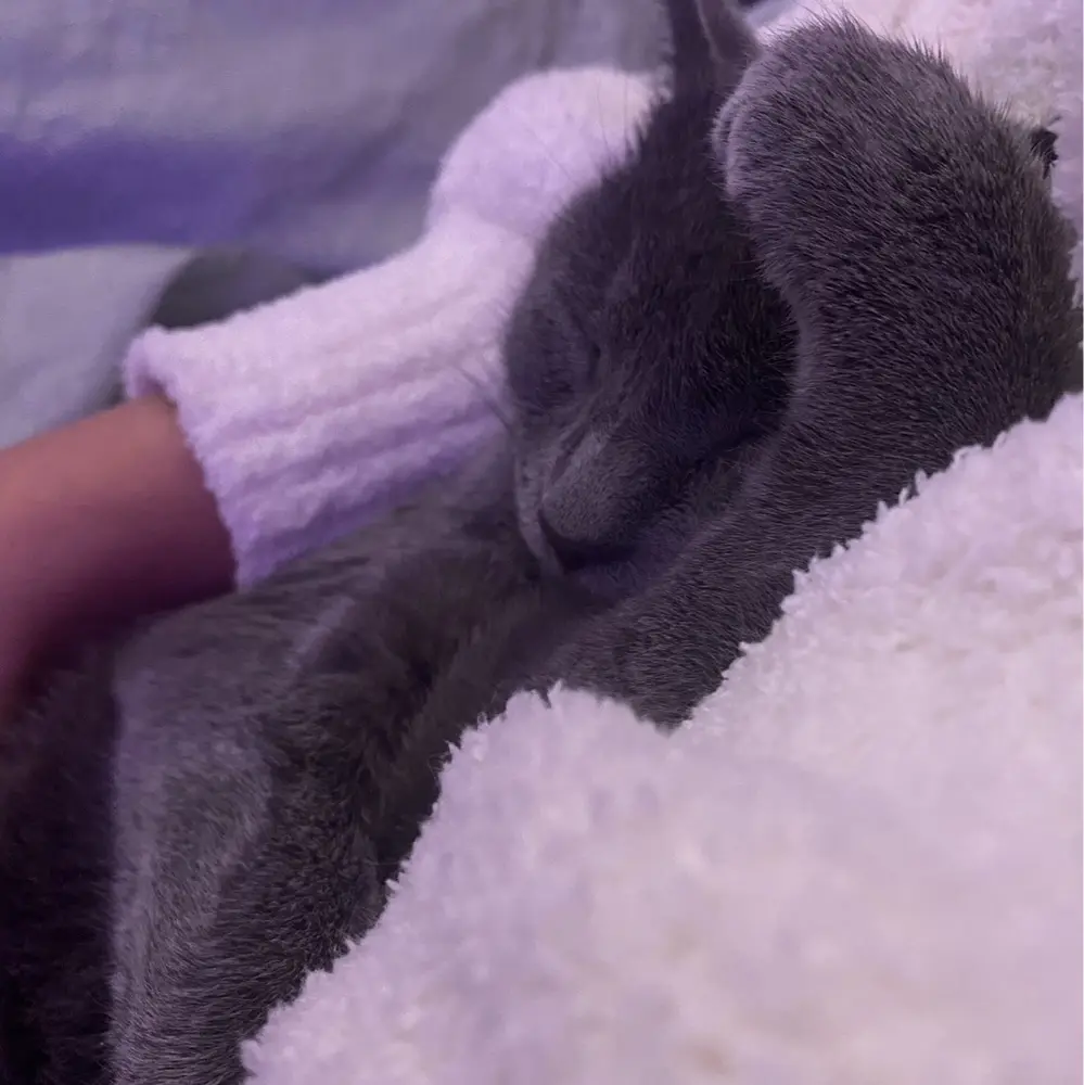 Luvkanitha profile pic