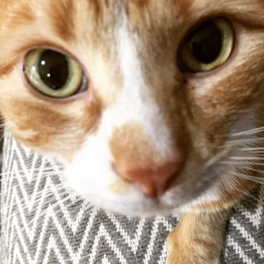 Cathyinoz profile pic