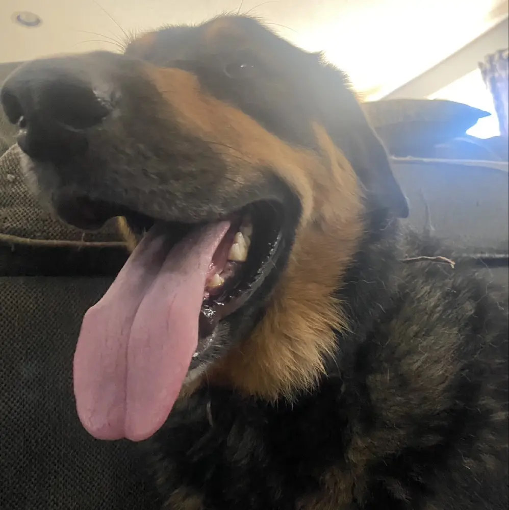 Jeffrey Gajda profile pic