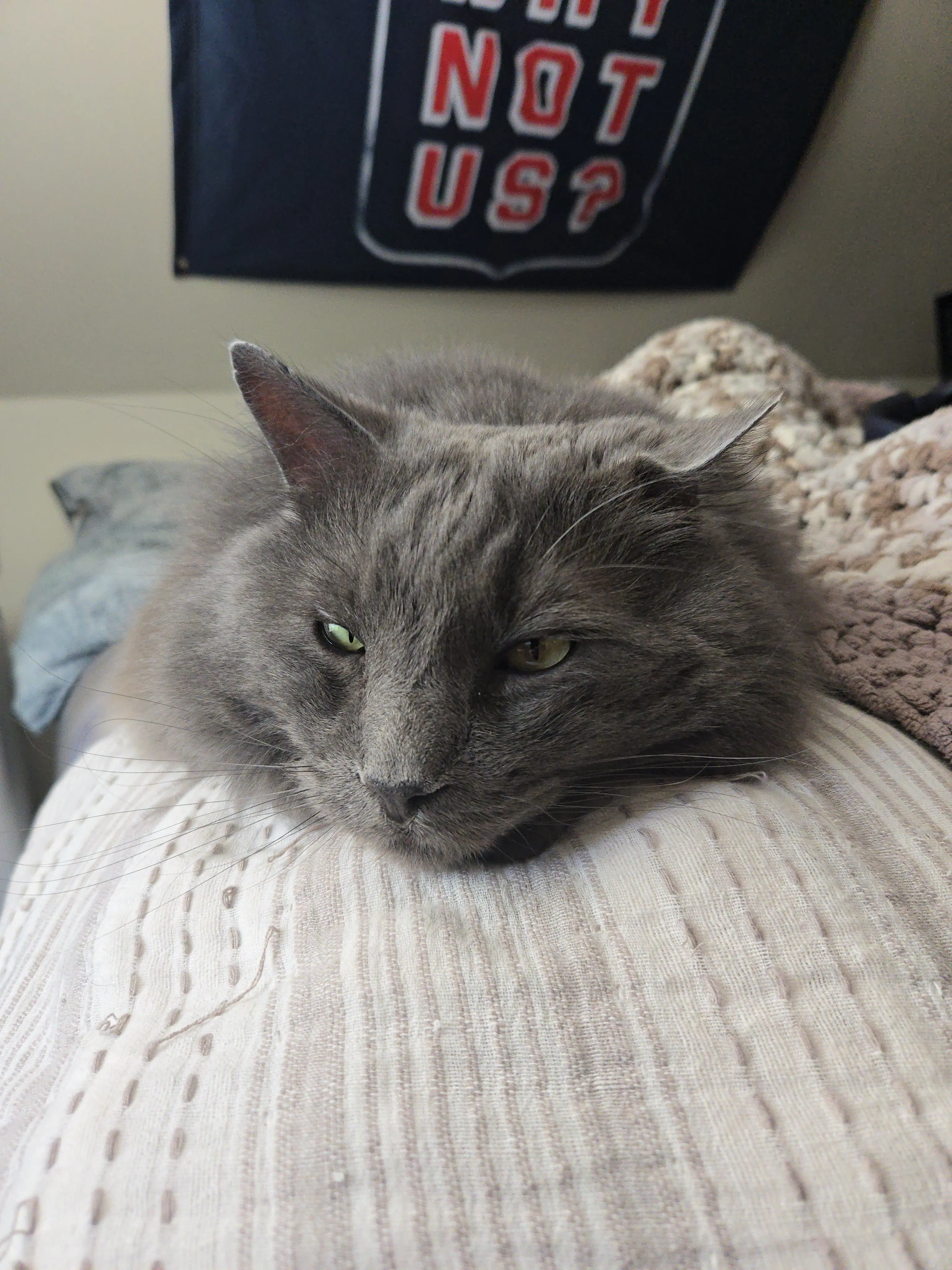 Josiah P profile pic