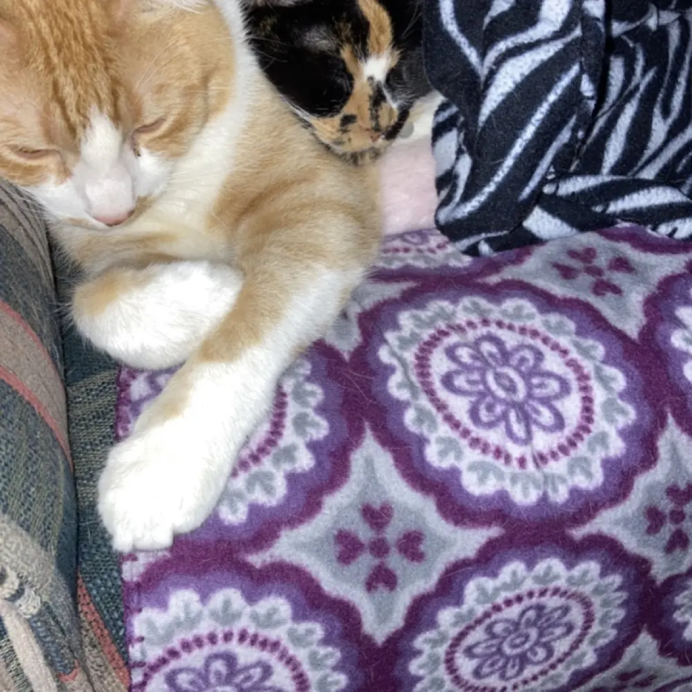 JonathanRB profile pic