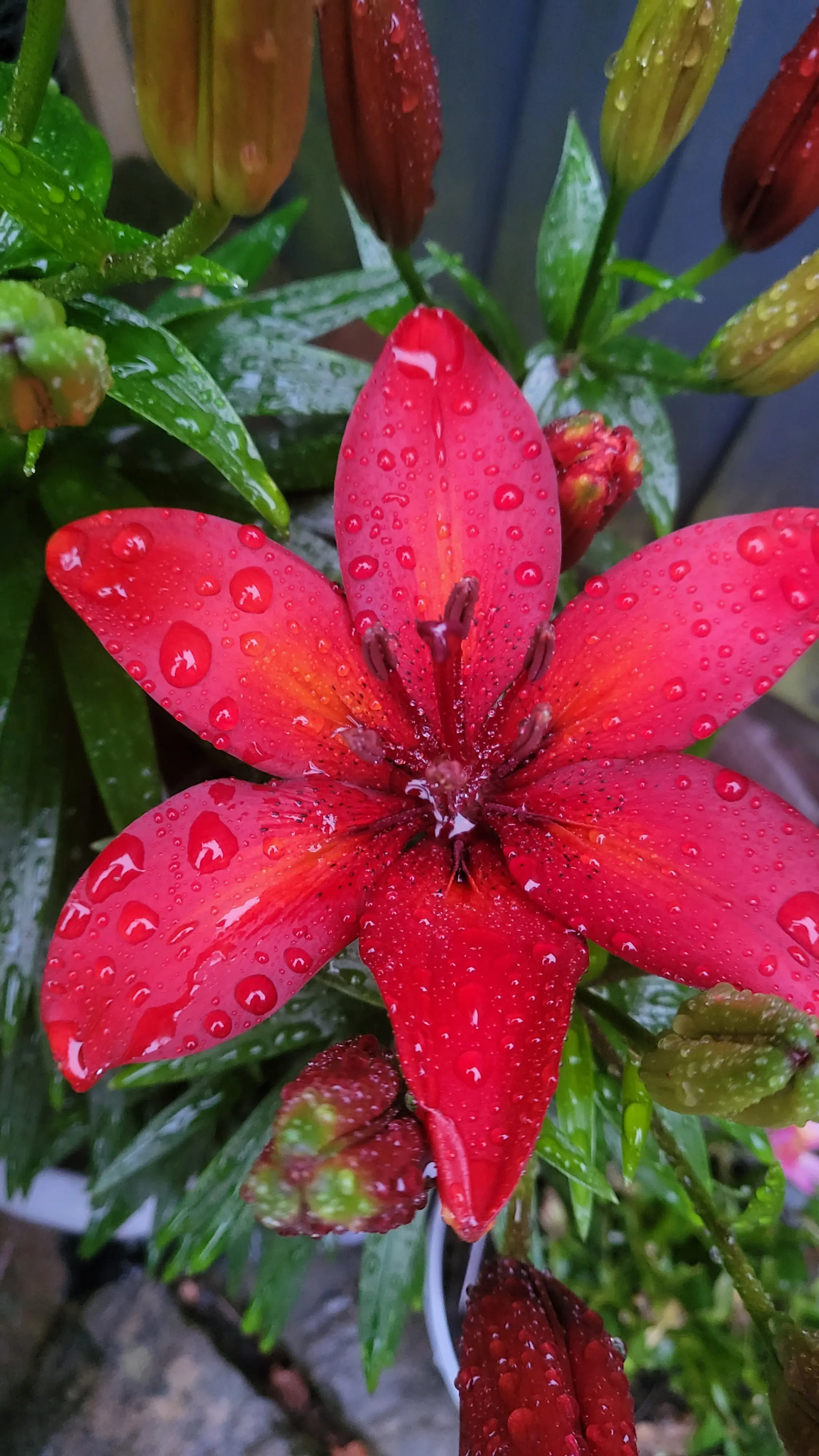 Genre Phobic profile pic