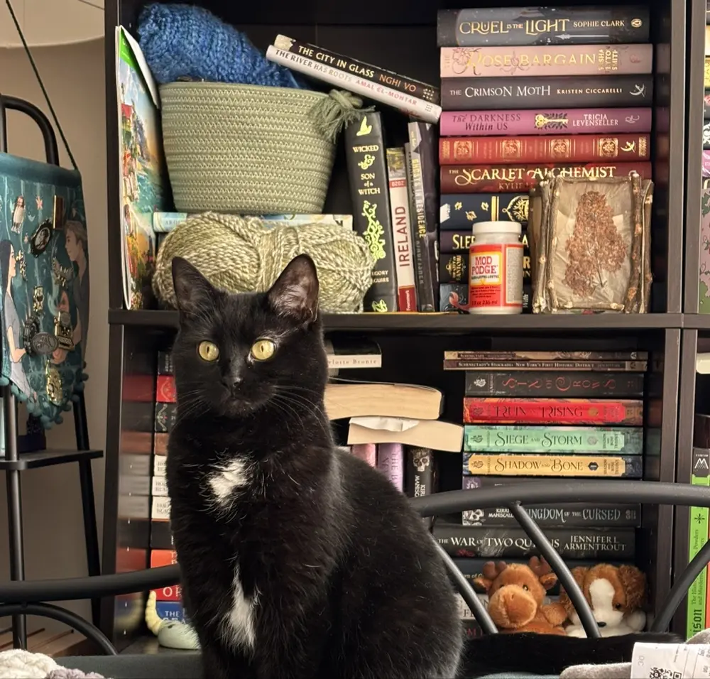 Shelby Ferry profile pic