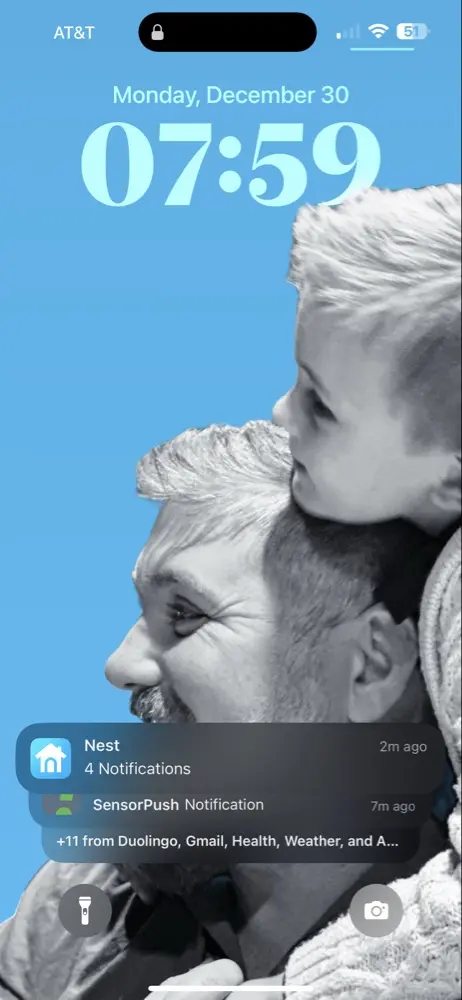 PerpetualPangolin profile pic