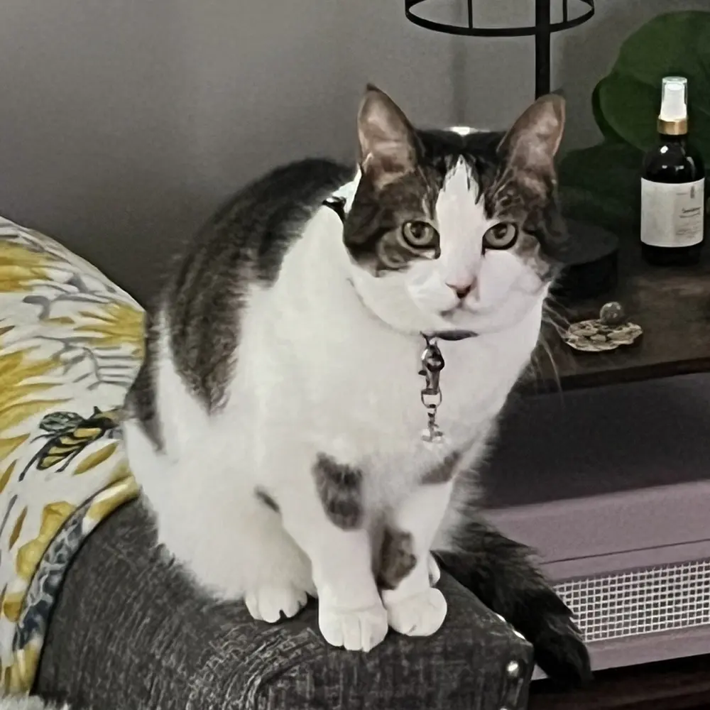 DavePaulick profile pic