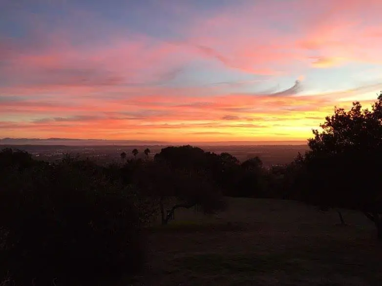 Maria Alejandra profile pic