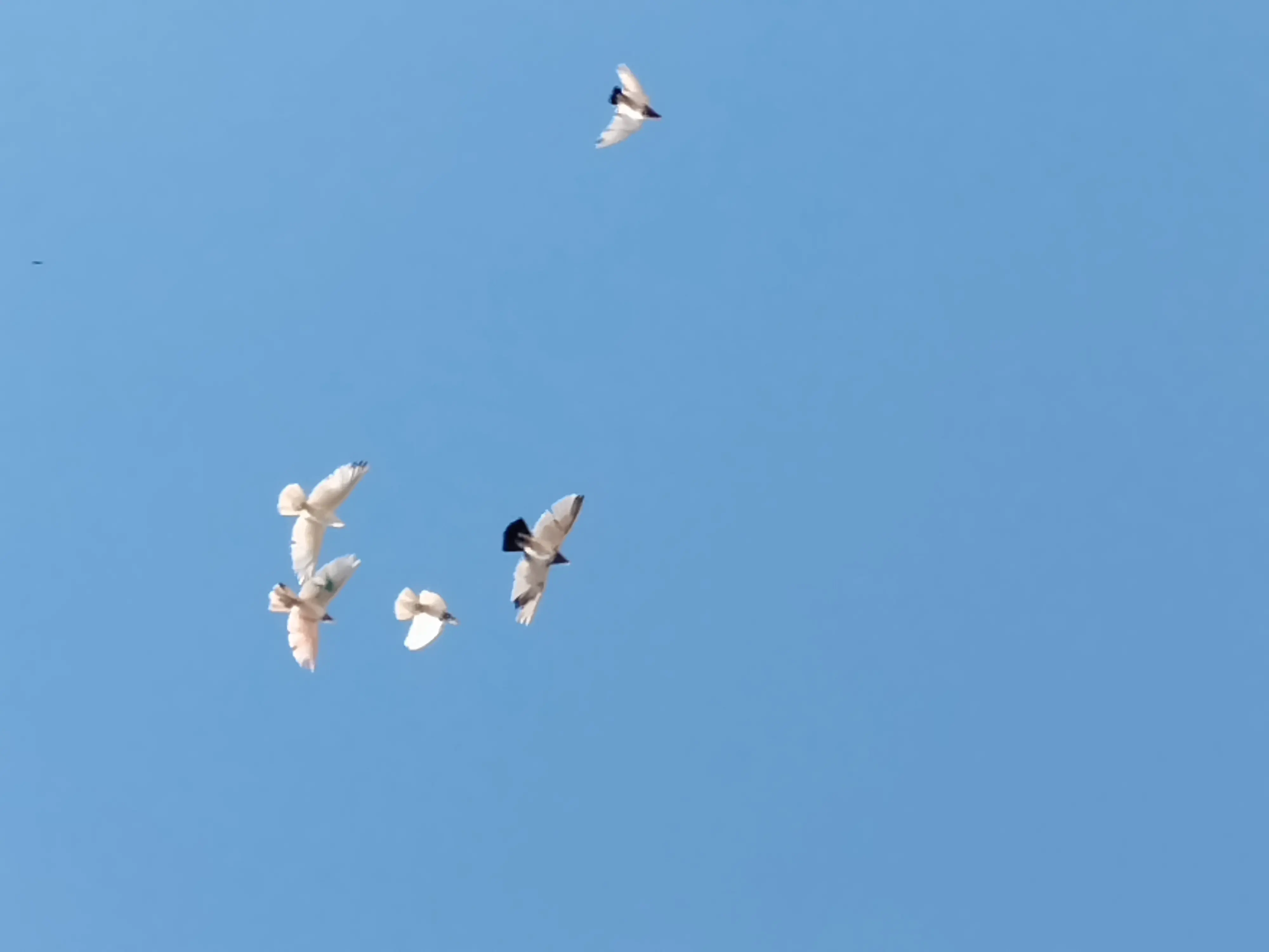 feexider profile pic