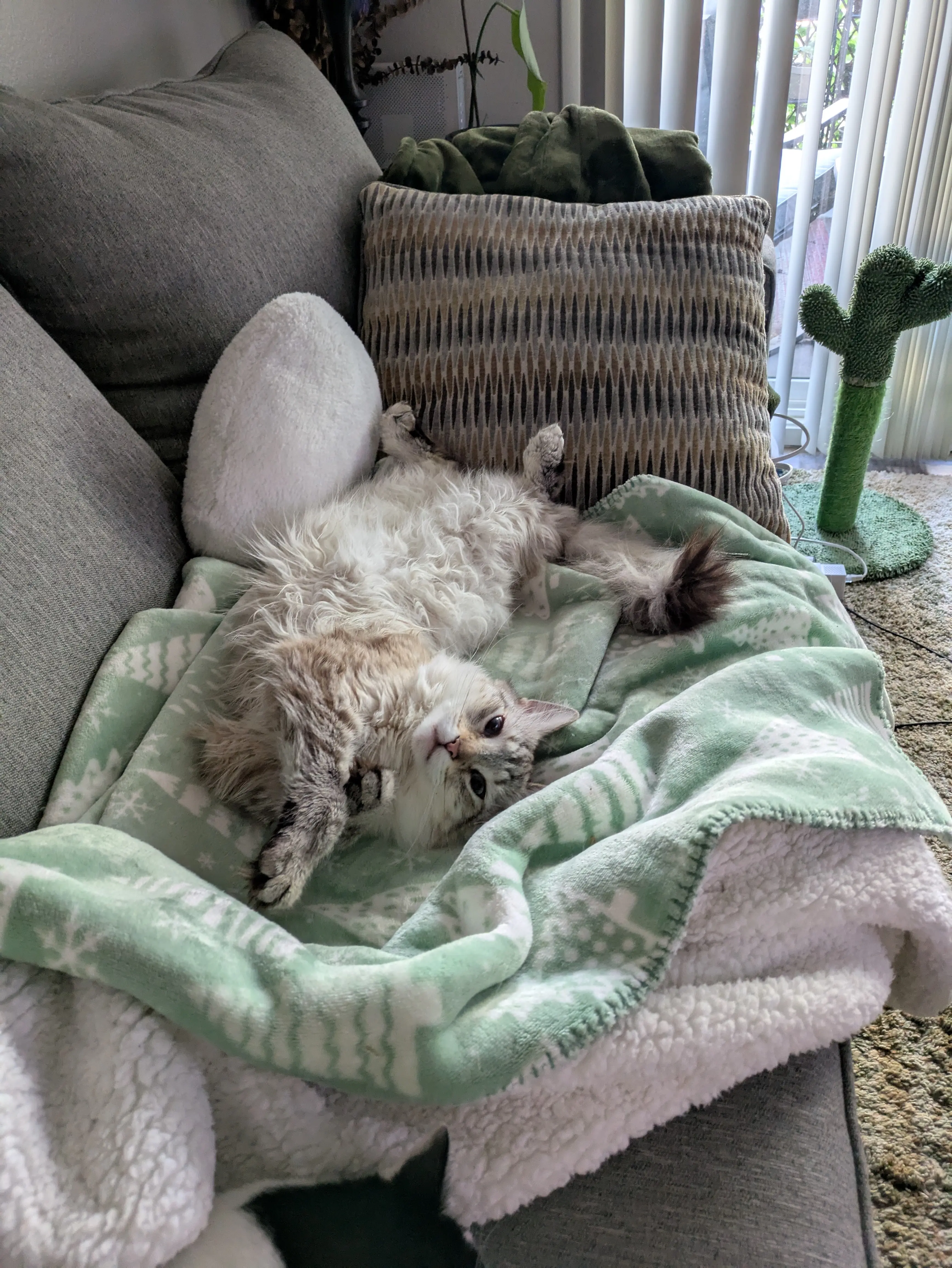 Patrick H profile pic