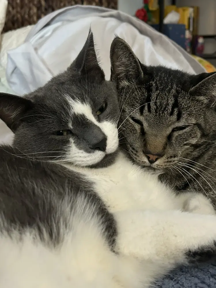 Katherine Jacoby profile pic