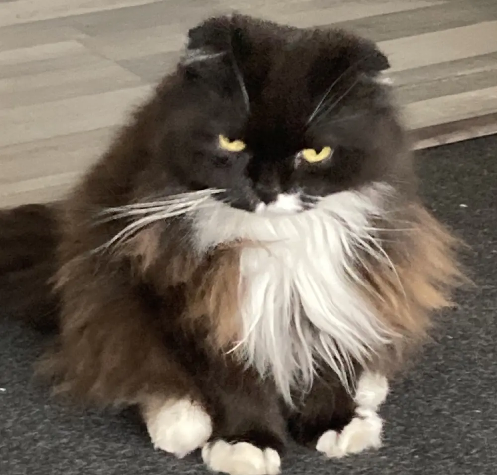 sarahemilie profile pic