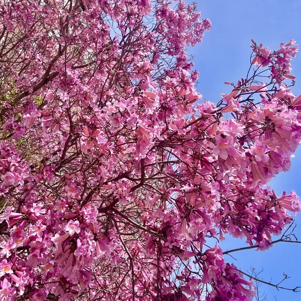 AvidReadr profile pic