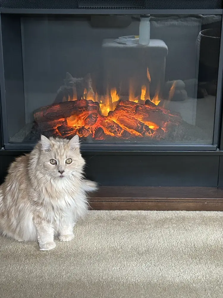 Jackie Shostack profile pic