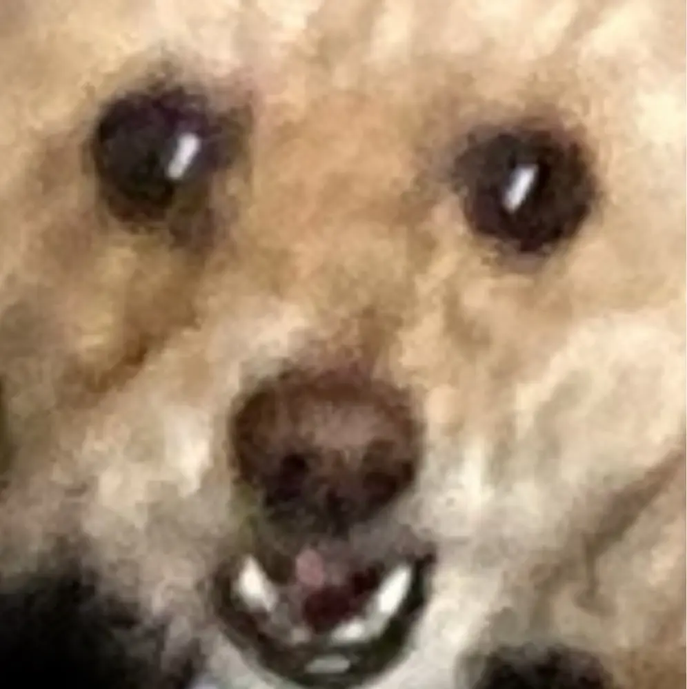 Eleclair32 profile pic