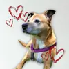 LVM500 Avatar