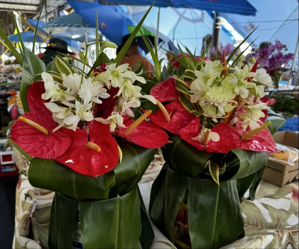 Tarbyloo profile pic