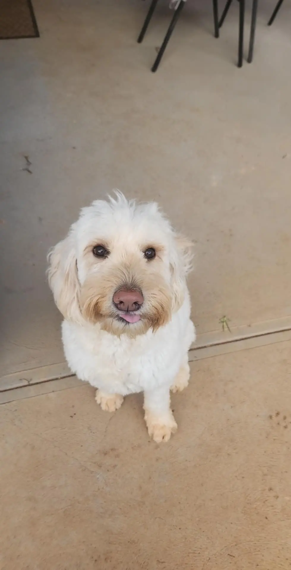 Courtney Craggs profile pic