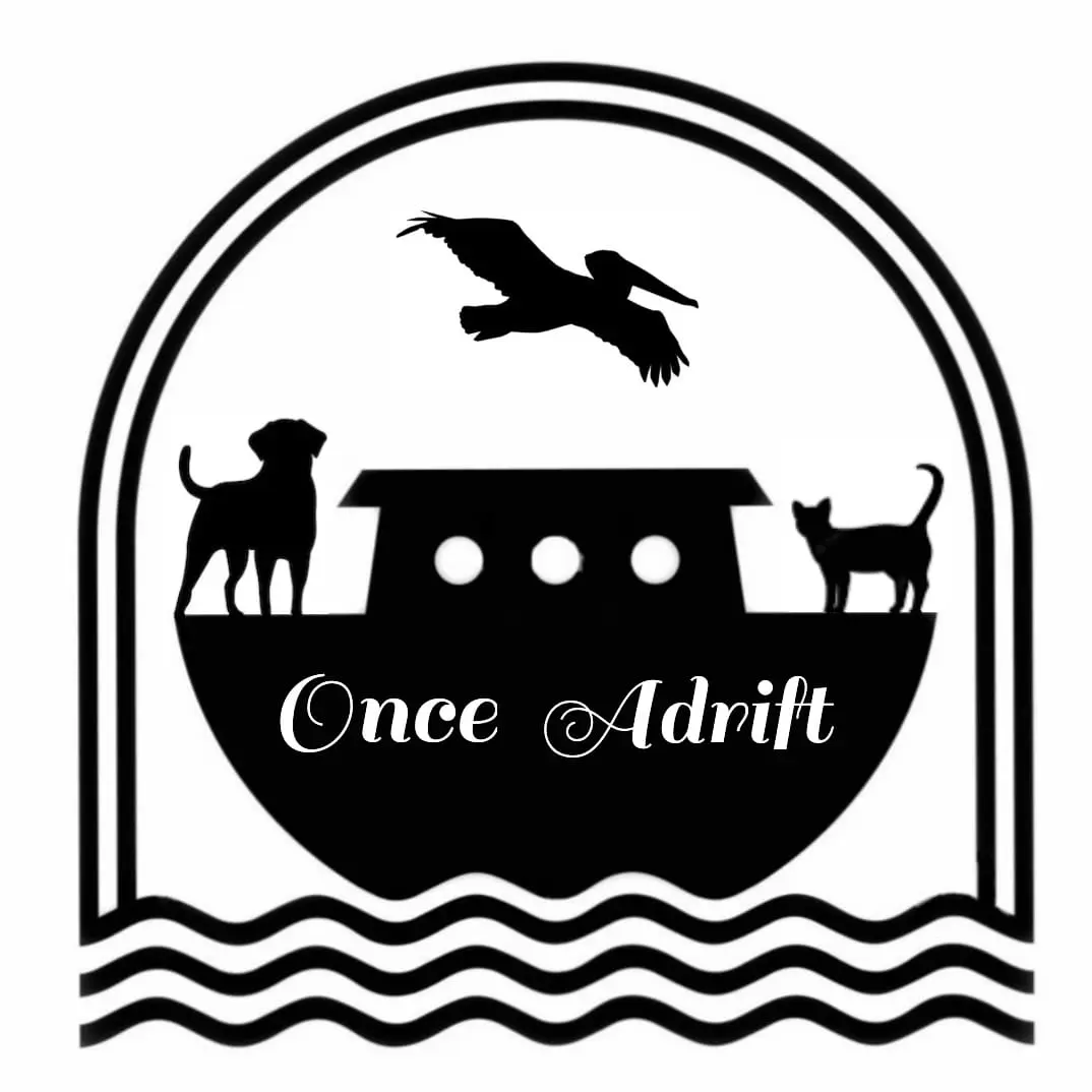 Once 🛥️ Adrift profile pic