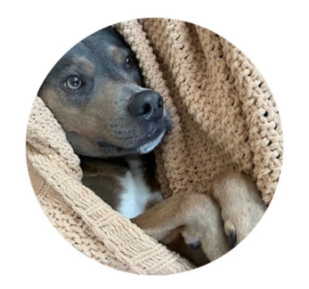 Baelyn Tanner profile pic