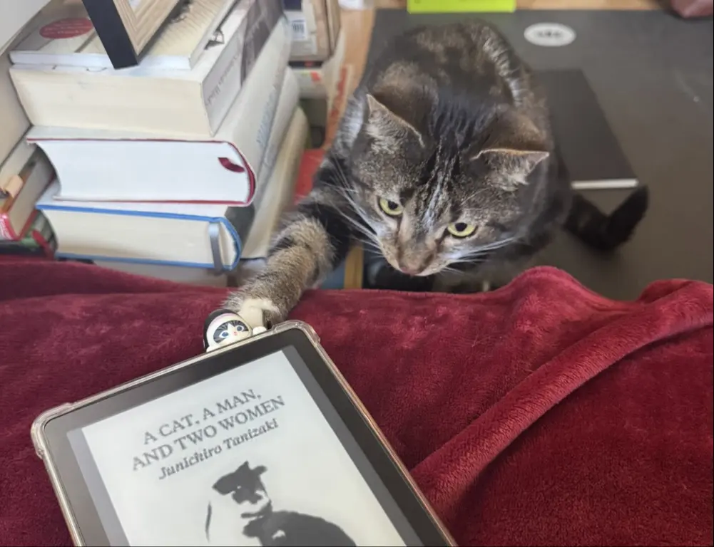 berkan_berghahn profile pic