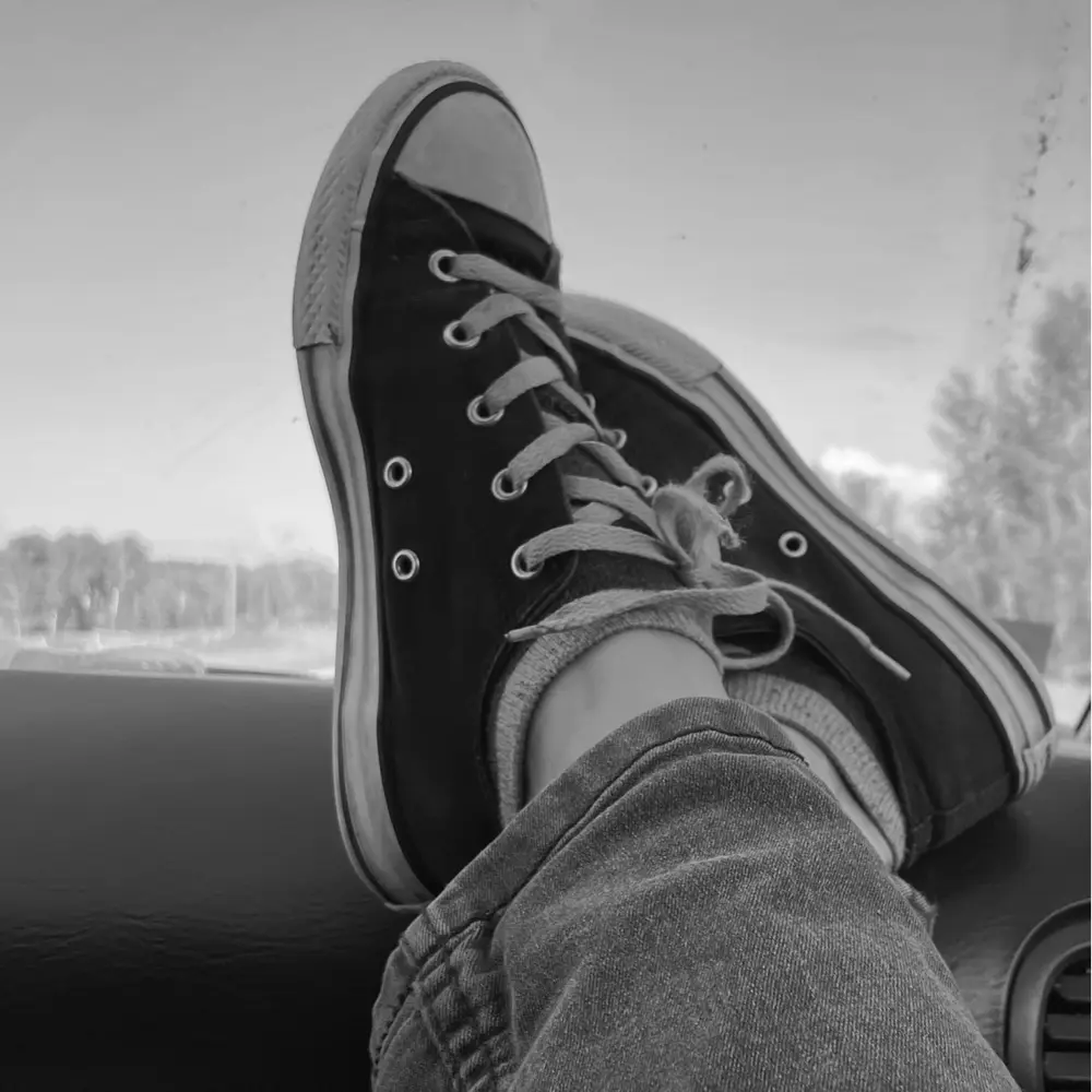 ScarBear profile pic