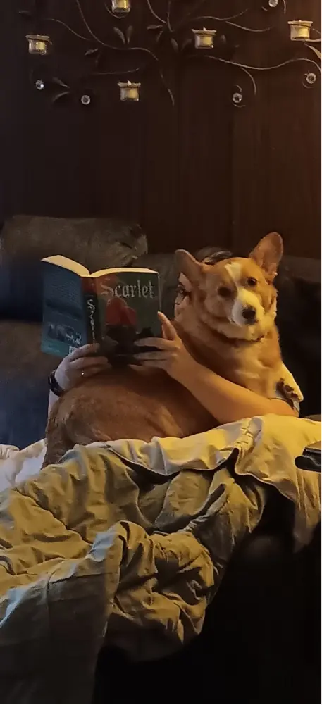 Christina Malone profile pic