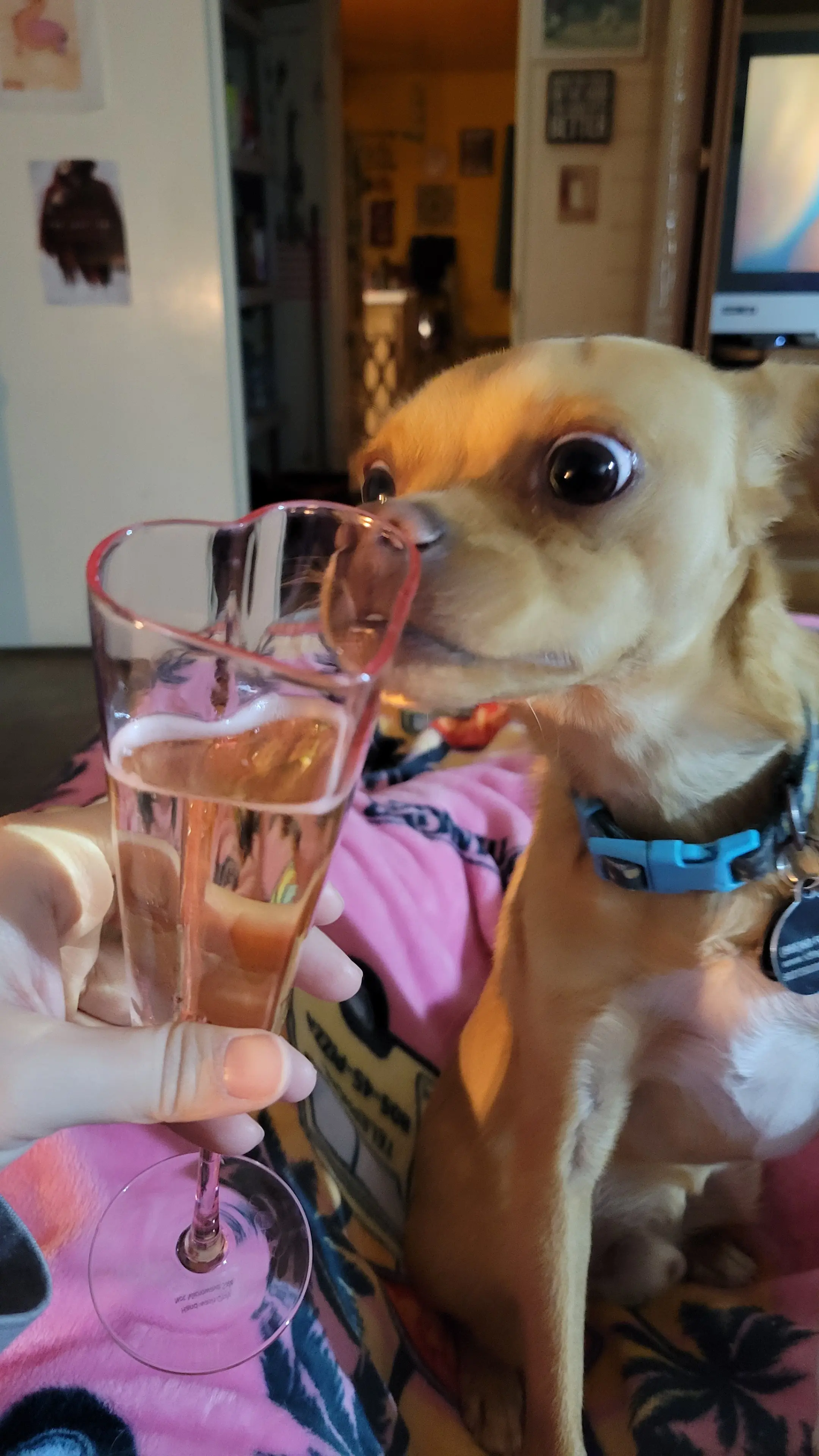 gabby! π» profile pic